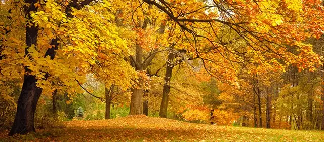 운세 날짜 월요일 10 11월 2025