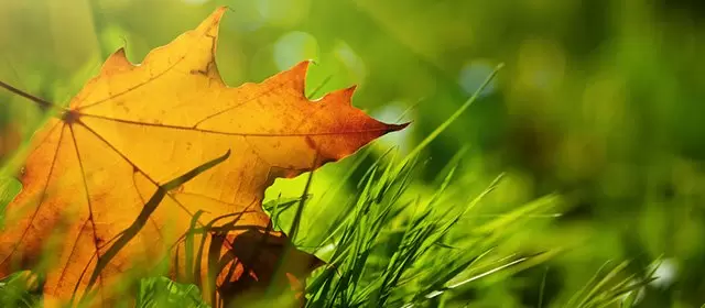 운세 날짜 화요일 11 11월 2025