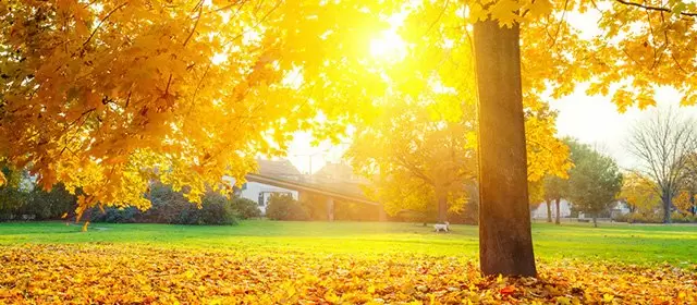 운세 날짜 수요일 12 11월 2025