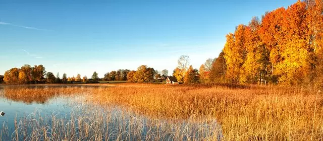 운세 날짜 목요일 13 11월 2025