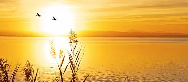 운세 날짜 금요일 14 11월 2025