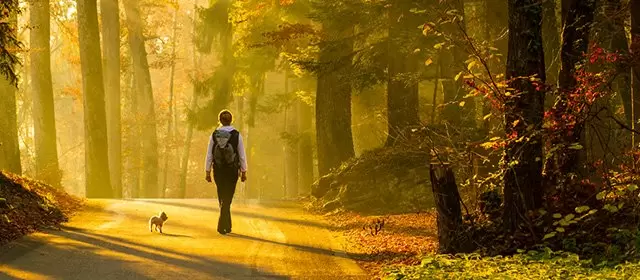 운세 날짜 월요일 17 11월 2025