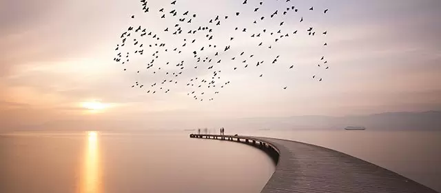 운세 날짜 목요일 20 11월 2025