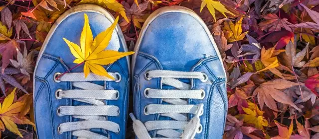 운세 날짜 금요일 21 11월 2025