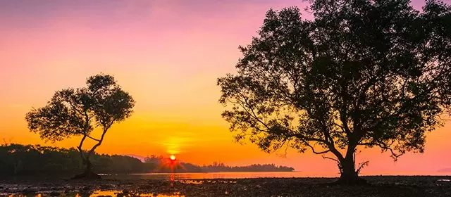 운세 날짜 토요일 22 11월 2025