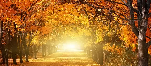 운세 날짜 월요일 24 11월 2025