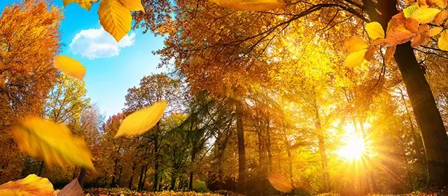 운세 날짜 수요일 26 11월 2025