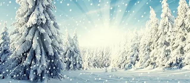 운세 날짜 토요일 6 12월 2025