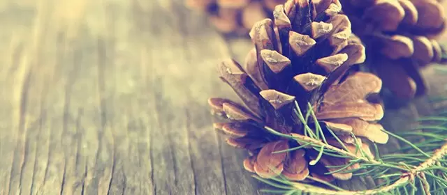 운세 날짜 일요일 7 12월 2025