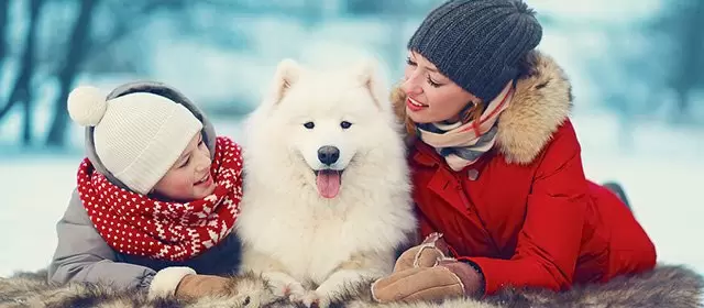 운세 날짜 일요일 14 12월 2025