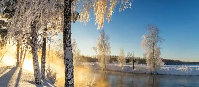 운세 날짜 토요일 20 12월 2025