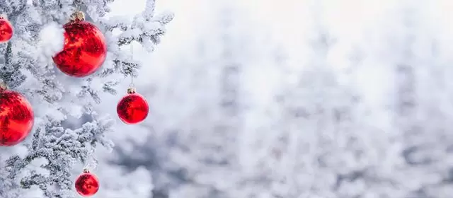 운세 날짜 화요일 23 12월 2025