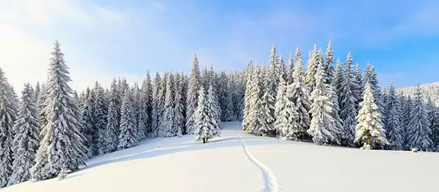 운세 날짜 화요일 30 12월 2025